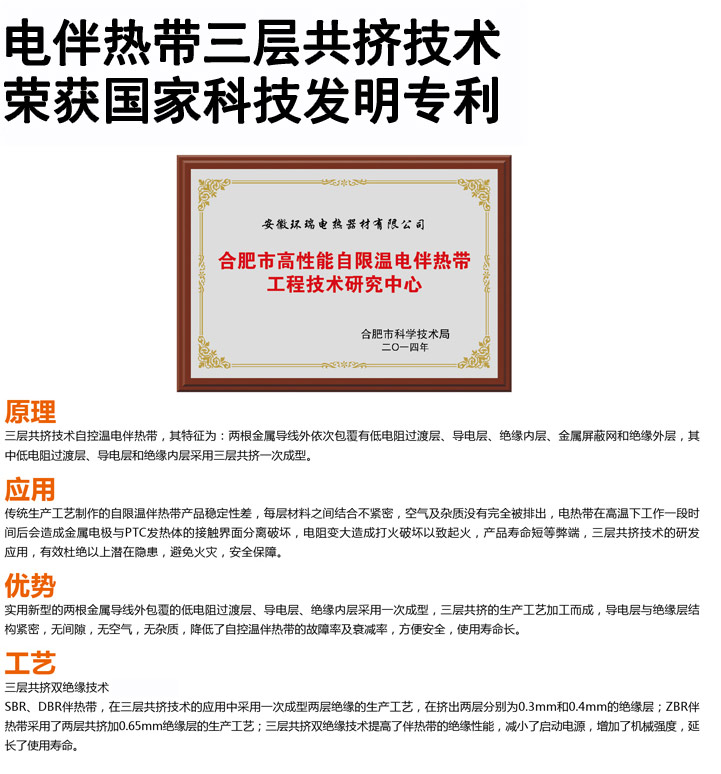 專(zhuān)利技術(shù)