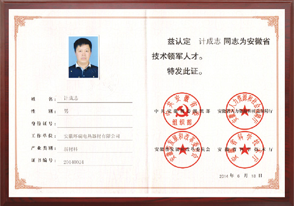 安徽省技術(shù)領軍人才
