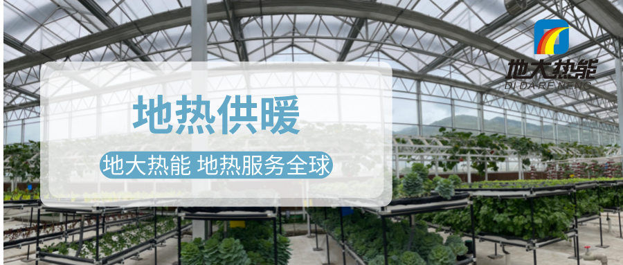 發(fā)揮地熱資源優(yōu)勢，地熱農業(yè)實現花卉產業(yè)特色發(fā)展 | 地大熱能 地熱服務全球
